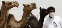 Syndrome respiratoire aigu du Moyen Orient (MERS-CoV)